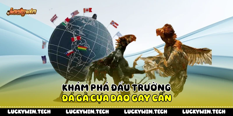 Khám phá đầu trường đá gà cựa dao gay cấn