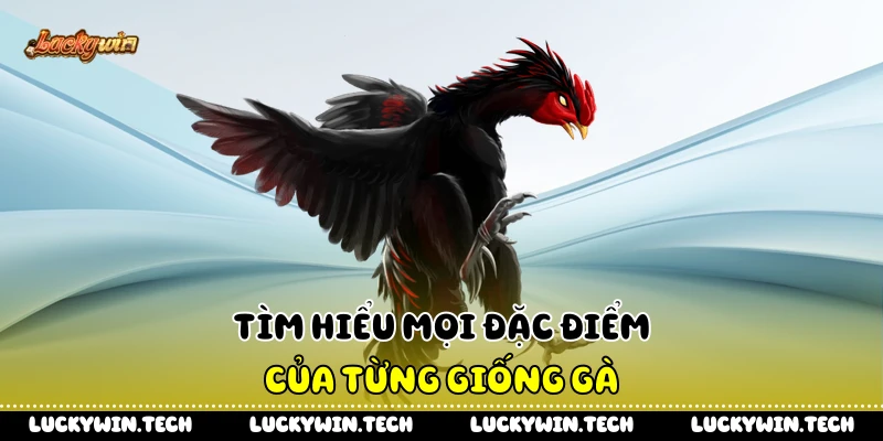 Tìm hiểu mọi đặc điểm của từng giống gà