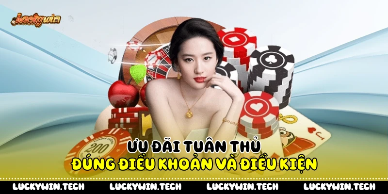 Ưu đãi tuân thủ đúng điều khoản và điều kiện